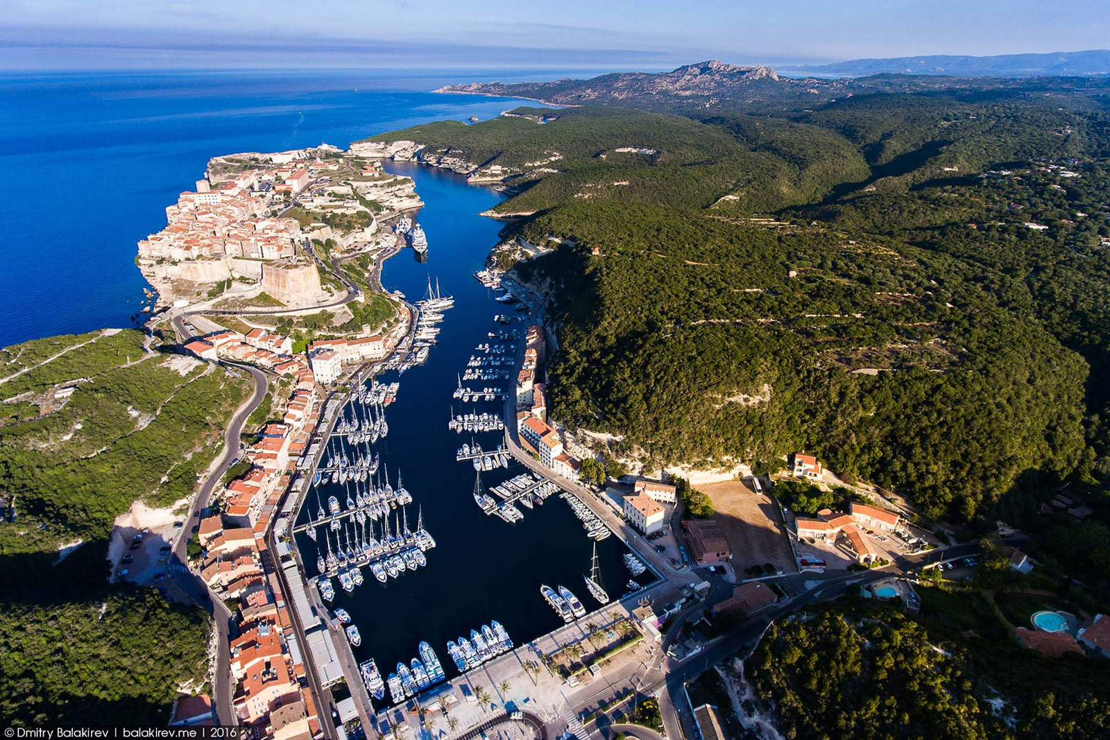 Bonifacio